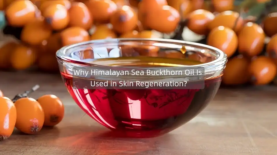Why Himalayan Sea Buckthorn Oil Is Used in Skin Regeneration?